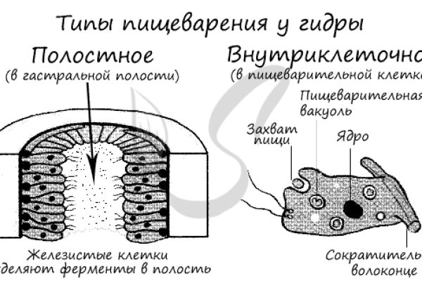 Кракен что за сайт