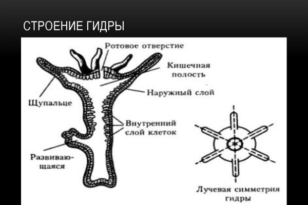 Как подключиться к даркнету