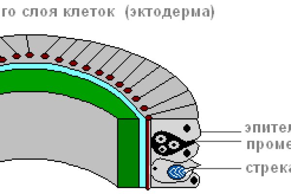 Впн для кракена